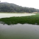 고지소류지 이미지