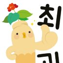 금산-10 이미지