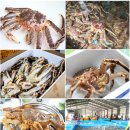 건승유통 | 딱 지금이 킹크랩 대게 가격 최저 시점!! 2일간 특가 진행합니다! 11/14(금)~15(토)택배 도착!