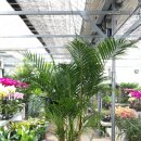 우리꽃집&카페 이미지