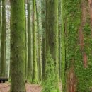 제주도 푸른밤 이미지