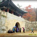 농암초등학교 이미지