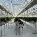 파머스하우스 이미지