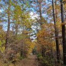 뜬봉샘 생태길 이미지