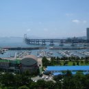 요트경기장 앞 이미지