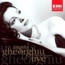 언덕위에 이미지