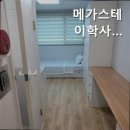 스테이대치
