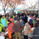 남대천버드나무쉼터 이미지