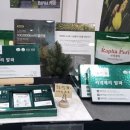평창청옥산천년초 영농조합법인 네이버블로그
