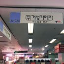 거성카메라 이미지