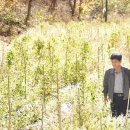 능동농장 이미지