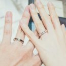 다운정 | 2025년 알뜰하게 하려 조금 노력해본 결혼/혼수비용 정리