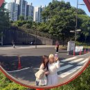사촌 | 양화한강공원 피크닉 후기, 사촌언니와 보낸 힐링 생일!