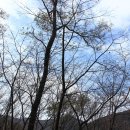 화지산 제1체육시설