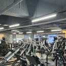 타임 휘트니스 이미지