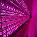 단군농장 이미지