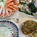 블루12속초오션파크 네이버블로그