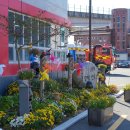 대동면노인회관 이미지