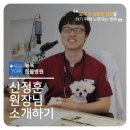 뉴욕동물병원 이미지