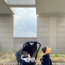 아이보호