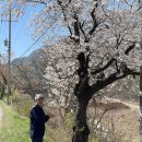 송계민박 이미지