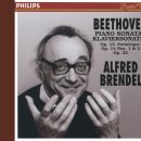 ★L. V. 베토벤_피아노 소나타 제8번 C 단조 Pathétique 中 1악장 이미지