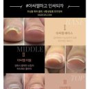 터치라인