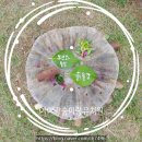 숲이랑아이랑유치원 이미지