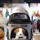 댕댕이 펫카 이미지