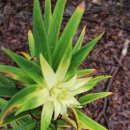 장령산 가든 이미지