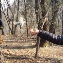 산부동산공인중개사사무소 이미지