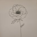 펜 드로잉(중급반) 이미지