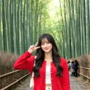 투어투어