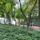 궁보건진료소 | 병원에서 핀제거 수술 전에, 국채보상공원 선별진료소에서 코로나 검사 받기 ! 비용, 검사 시간, 운영...