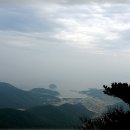 명품새우 이미지