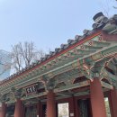 앞두루공원 | 탑골공원 점심 방문 후기｜서울 도심 속 역사와 현실이 공존하는 공간