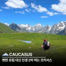 인문학과 와인세계 | 시니어 해외여행 뻔한 유럽 대신 인생 2막 여는 오지 코카서스
