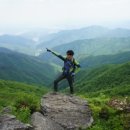 충일투어 네이버블로그