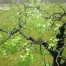 지역작가초대전 이미지