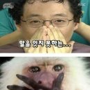 별하담 이미지