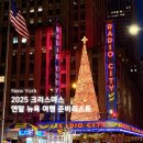 중앙하이츠(아)경로당 | 연말 뉴욕 크리스마스 여행 준비 리스트 | 지금 꼭 예약해야 하는 것 총정리