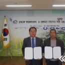 크린위드 이미지