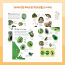 레진에 담아보는 이야기 이미지