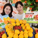 (주)농협하나로유통 하나로마트 이미지