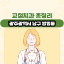 영재치과의원 | 광주광역시 남구 방림동 교정치과 총정리