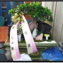 삼호당구장 이미지