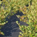 건희농장 이미지