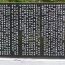 도산원탕 이미지