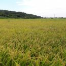 이한우농장 이미지