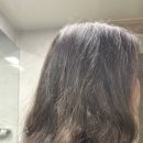 카락헤어샵